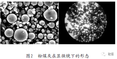 硅灰石的解理和断口