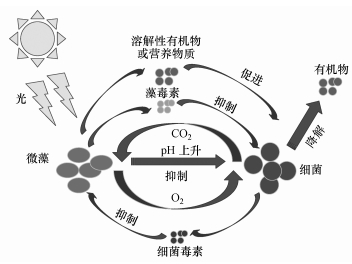 水分保持剂的持水机理