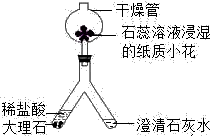 洗洁精转圈圈实验原理