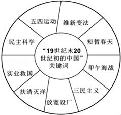 网状结构的塑料