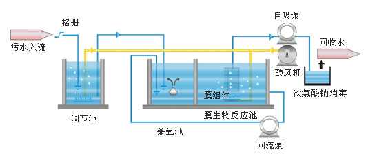 原水处理装置