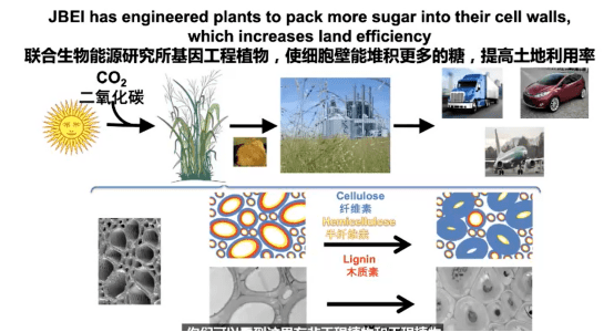 聚酰亚胺模塑粉