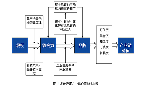 都机后桥