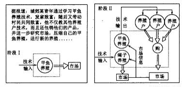 橡胶制品硫化剂作用