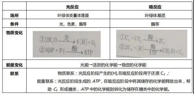 羧酸盐用途