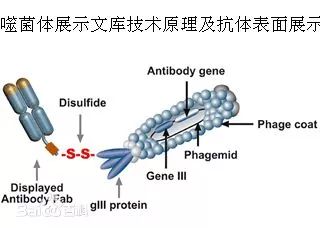 滤波器与饲料布料器的关系