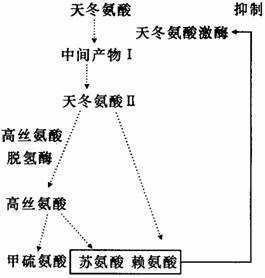 树脂摆件与灯布的种类一样吗