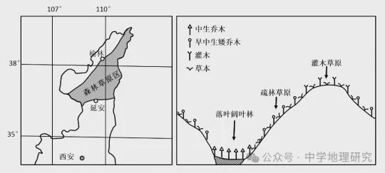 铁丝绑木头方法详解,系统化分析说明_开发版137.19