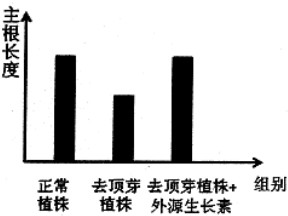 钢结构平台建模