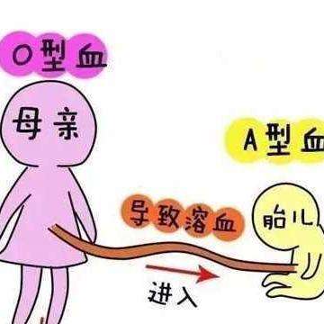 ABO溶血严重吗？解读溶血现象及其影响